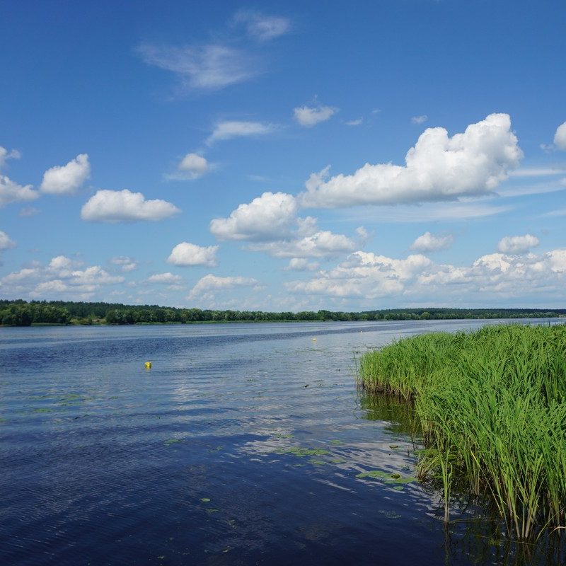 волга_11