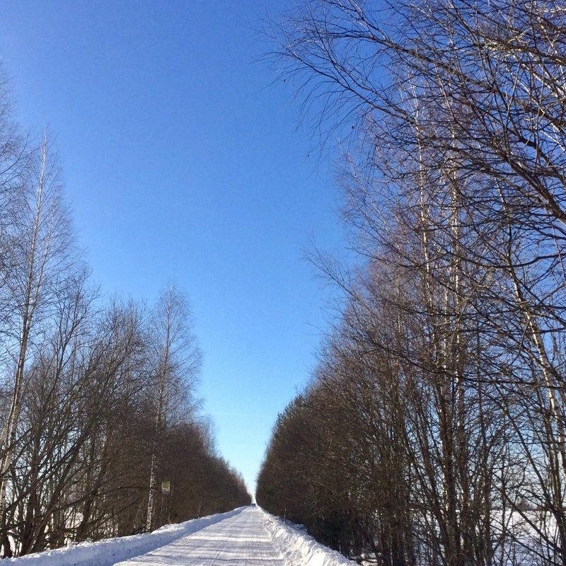 зима_18