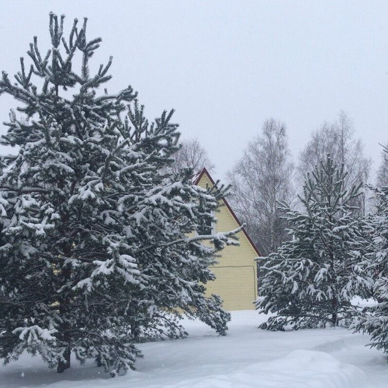 зима_7